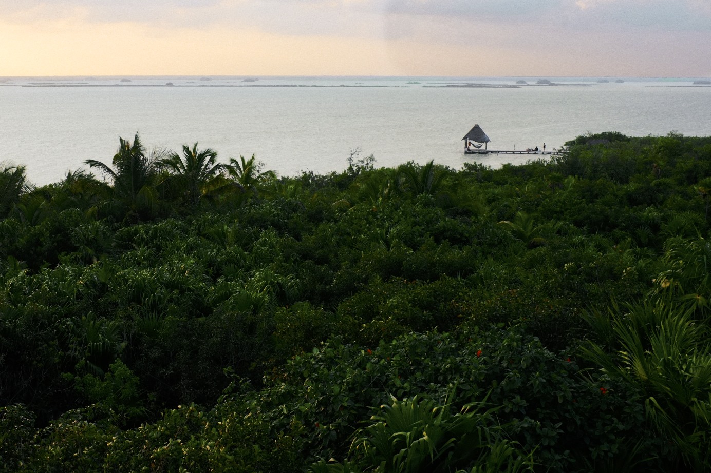 Looking west from the patio in Sian Ka'an, Mexico.