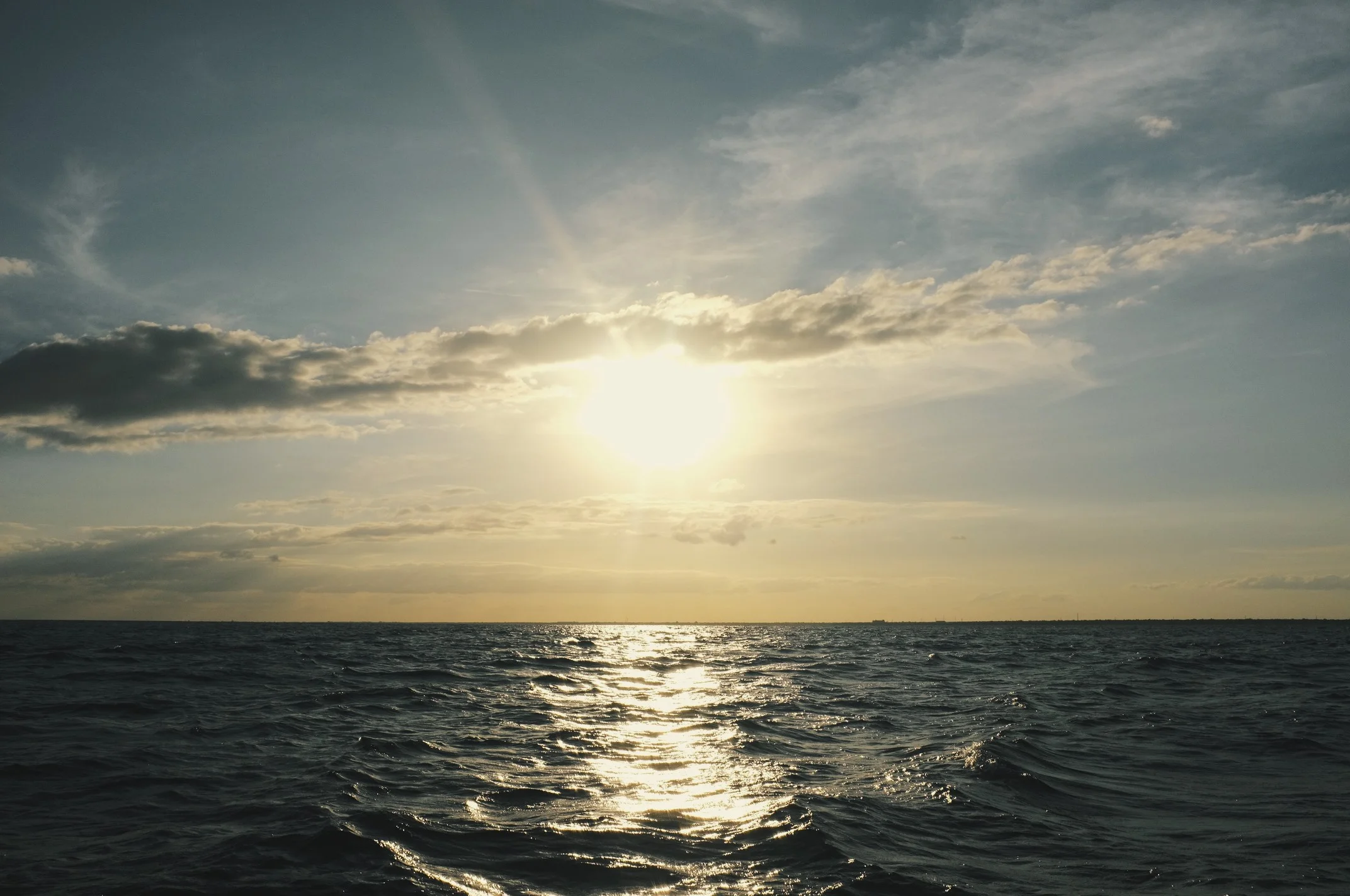 DSCF8669.jpg