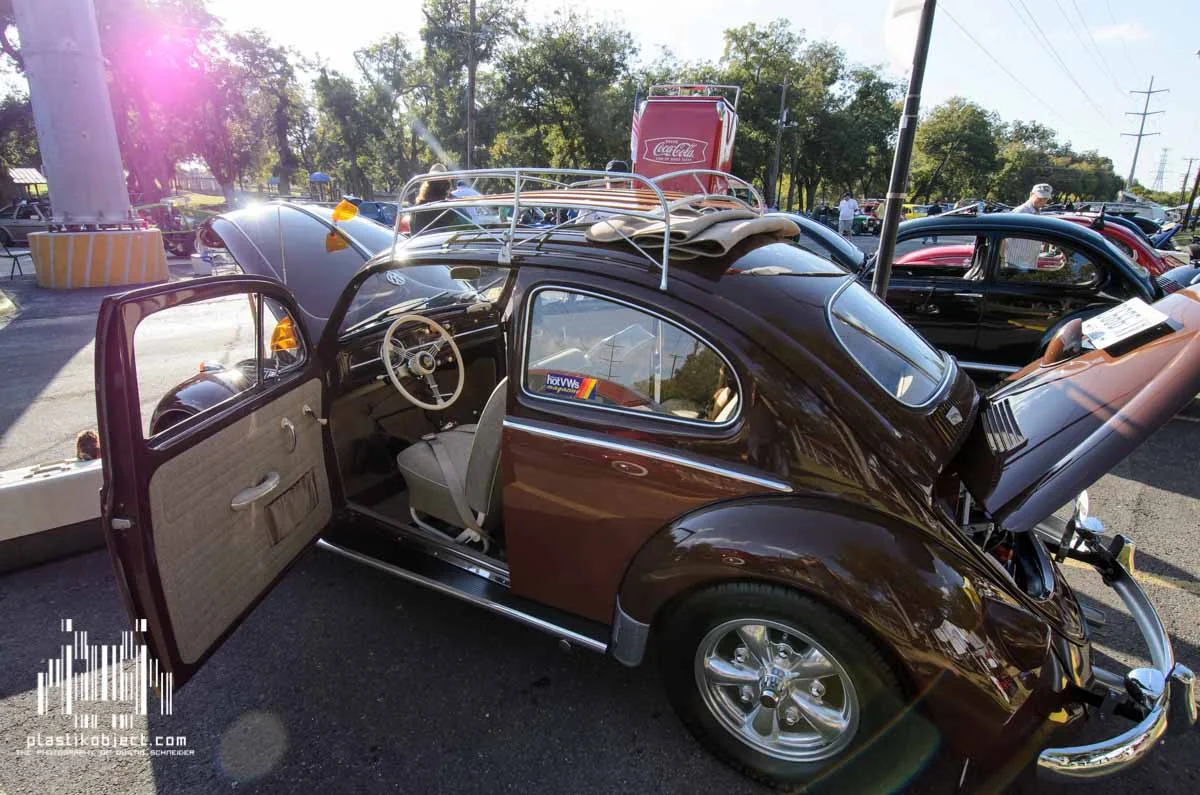 Bug show-7.jpg
