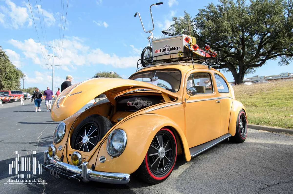 Bug show-25.jpg