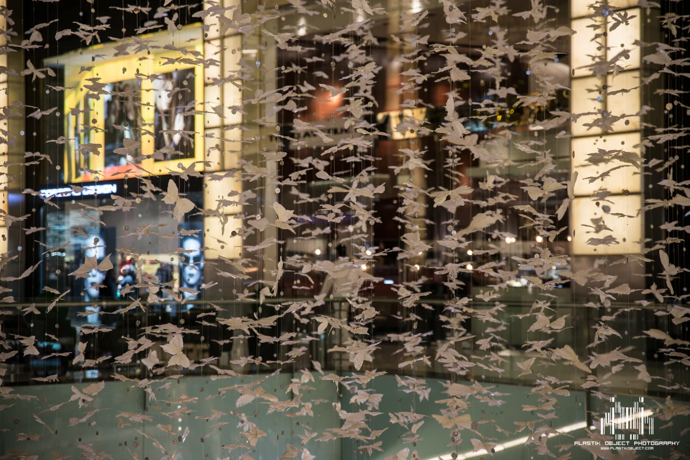 Closer shot of the butterflies and birds