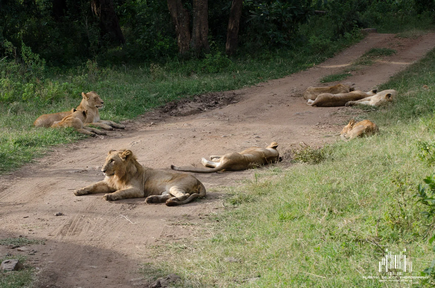 These guys were in no hurry to do anything.