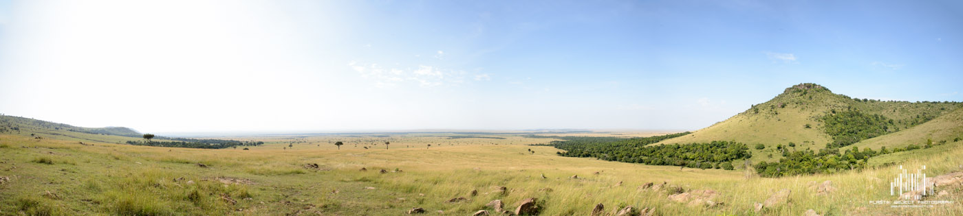 DSC_1372-Edit.jpg