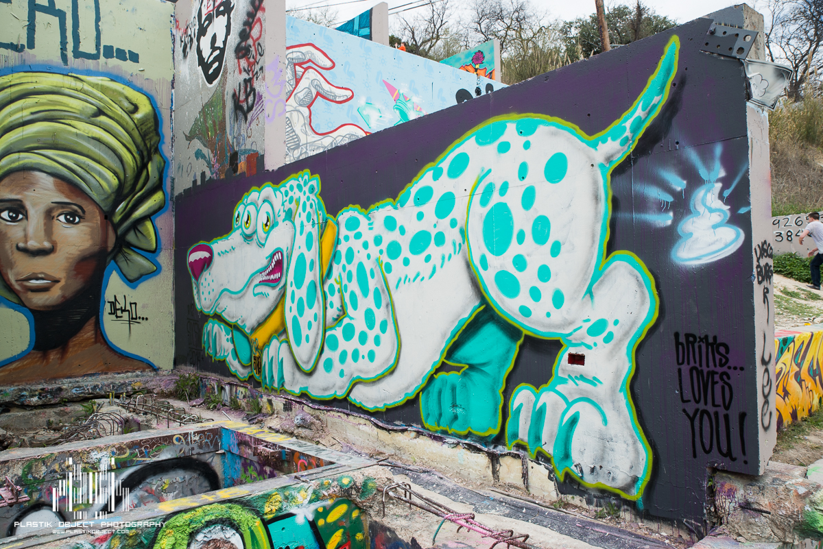 DSC_6335.jpg