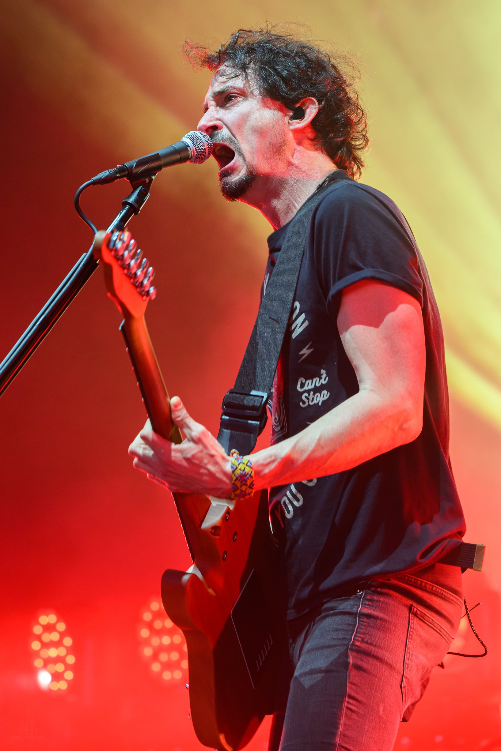 Gojira (9 of 25).jpg