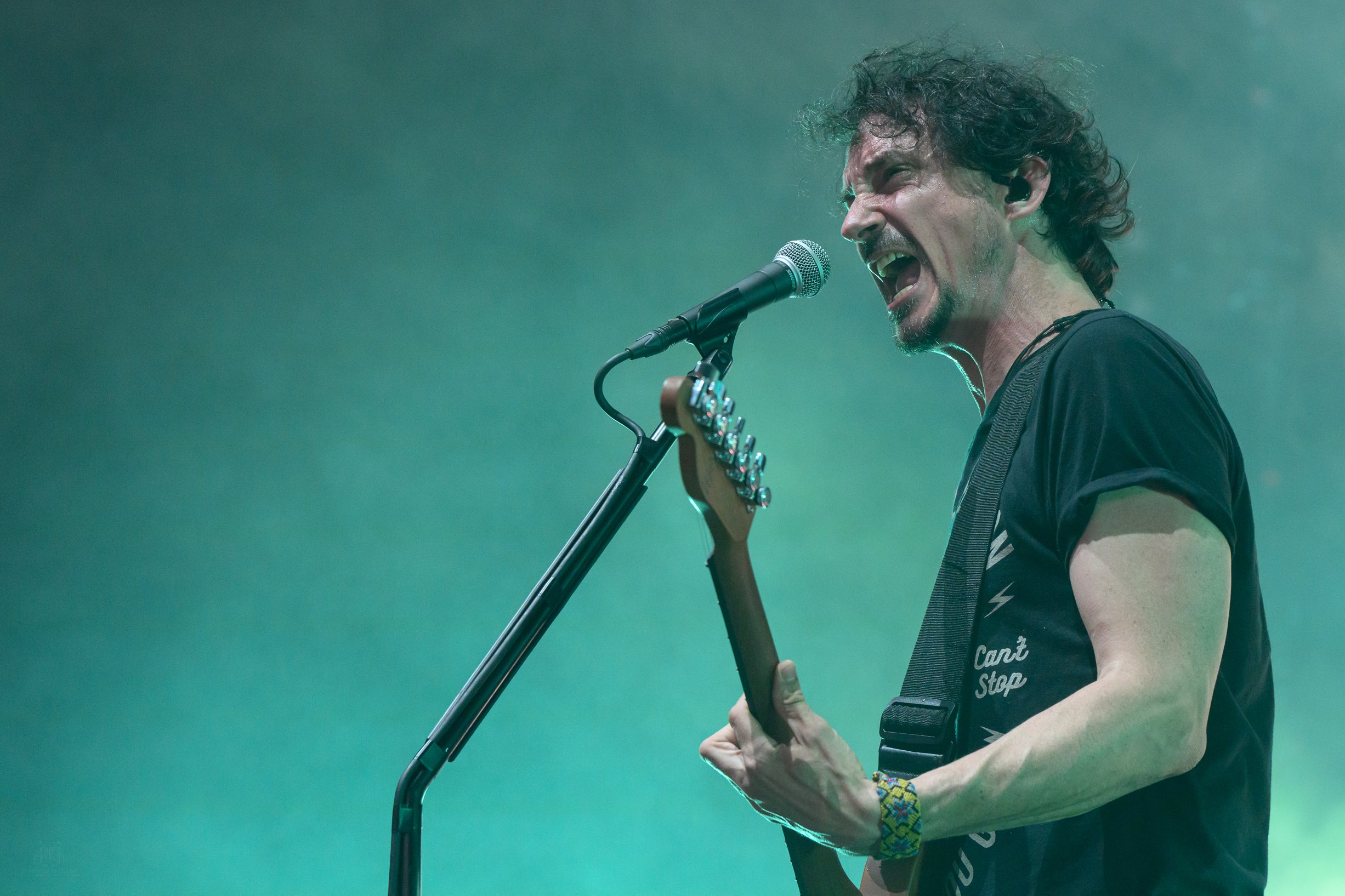 Gojira (20 of 25).jpg