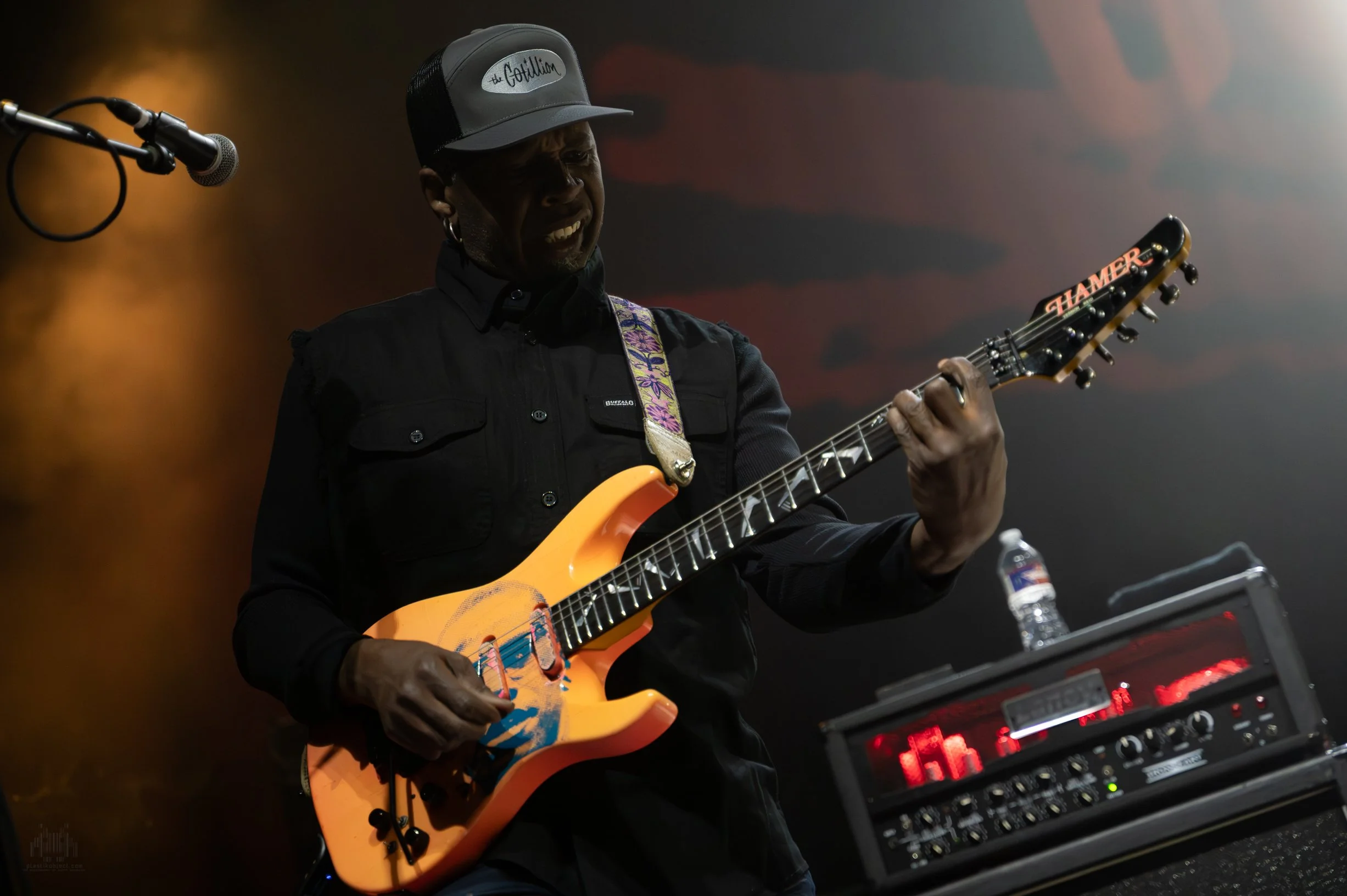 Living Colour (8 of 22).jpg