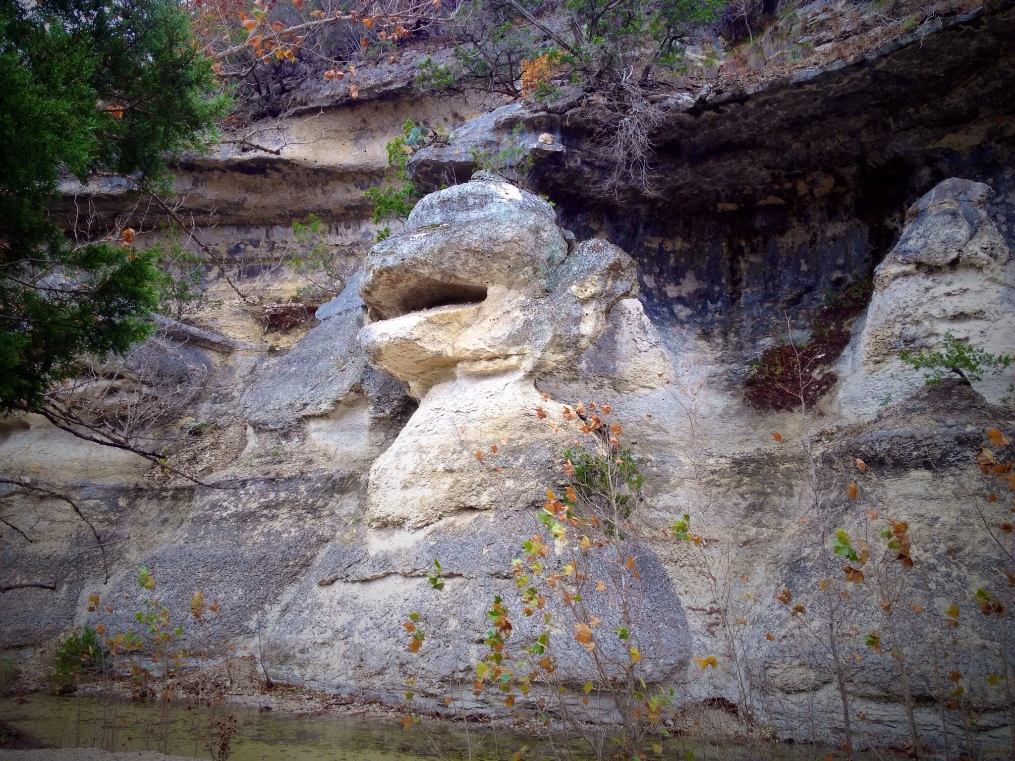 Look familiar? They carved your face out of rock. Monkey Rock.