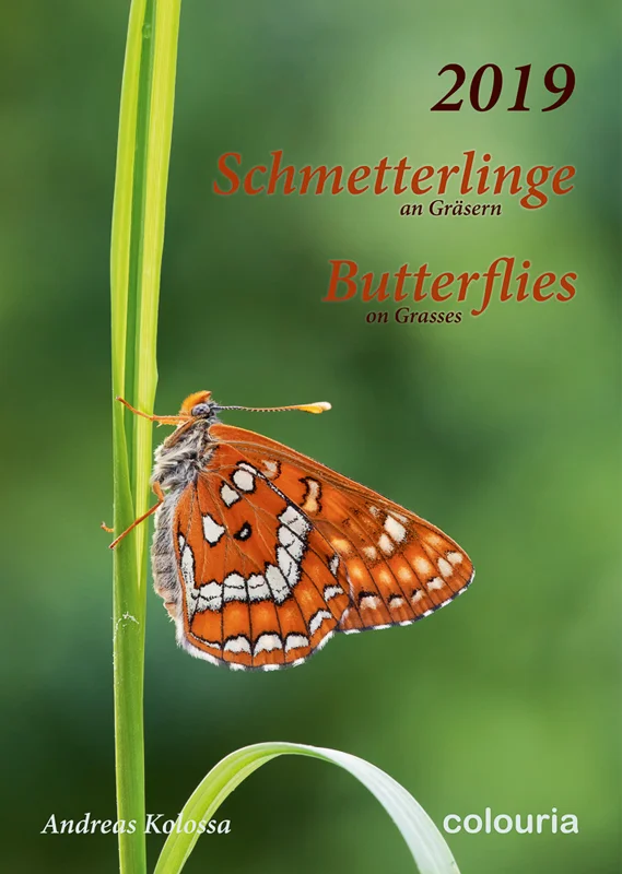 Promotion: Fotokalender „Schmetterlinge an Gräsern 2019 – Butterflies on Grasses 2019“