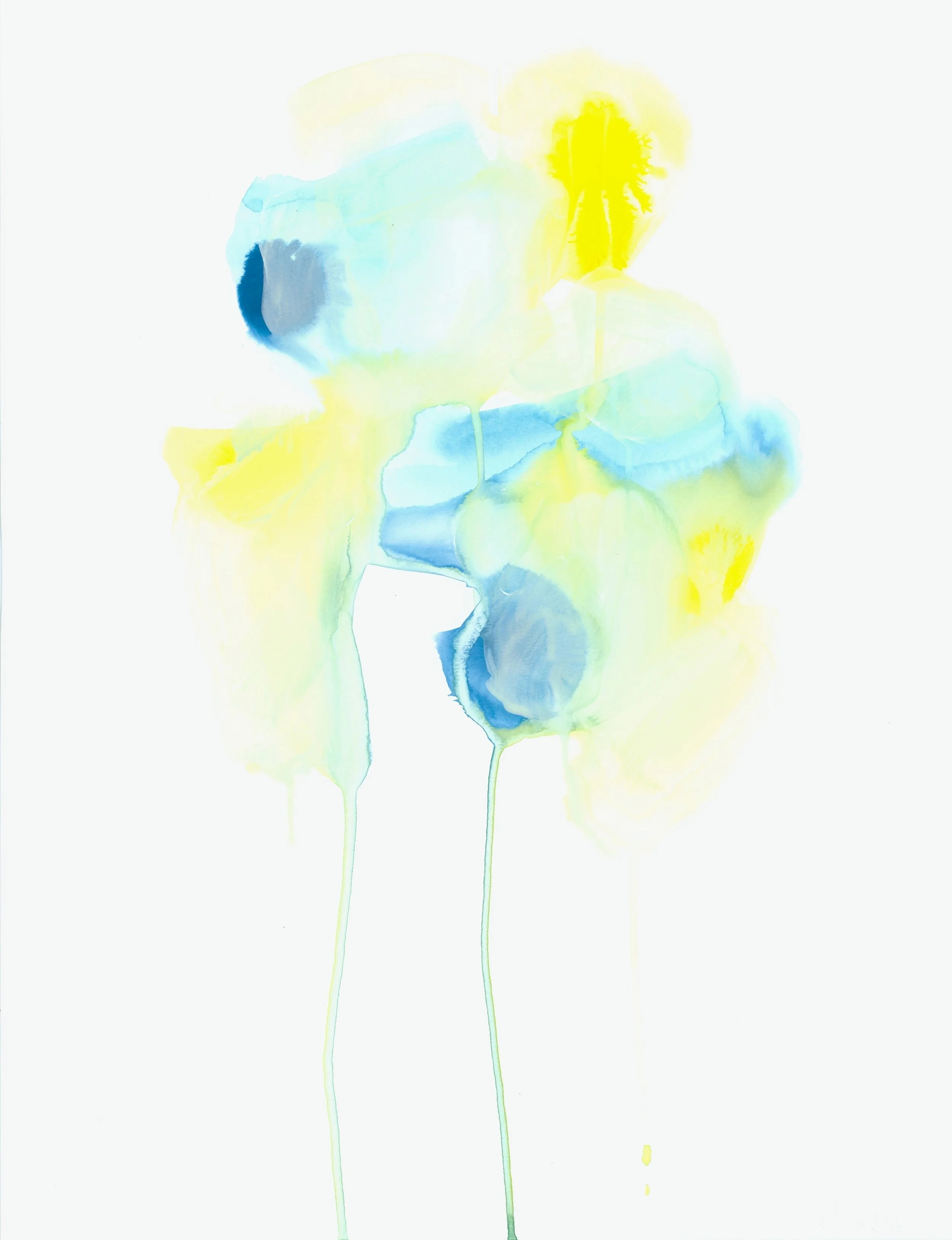 Aqueous I