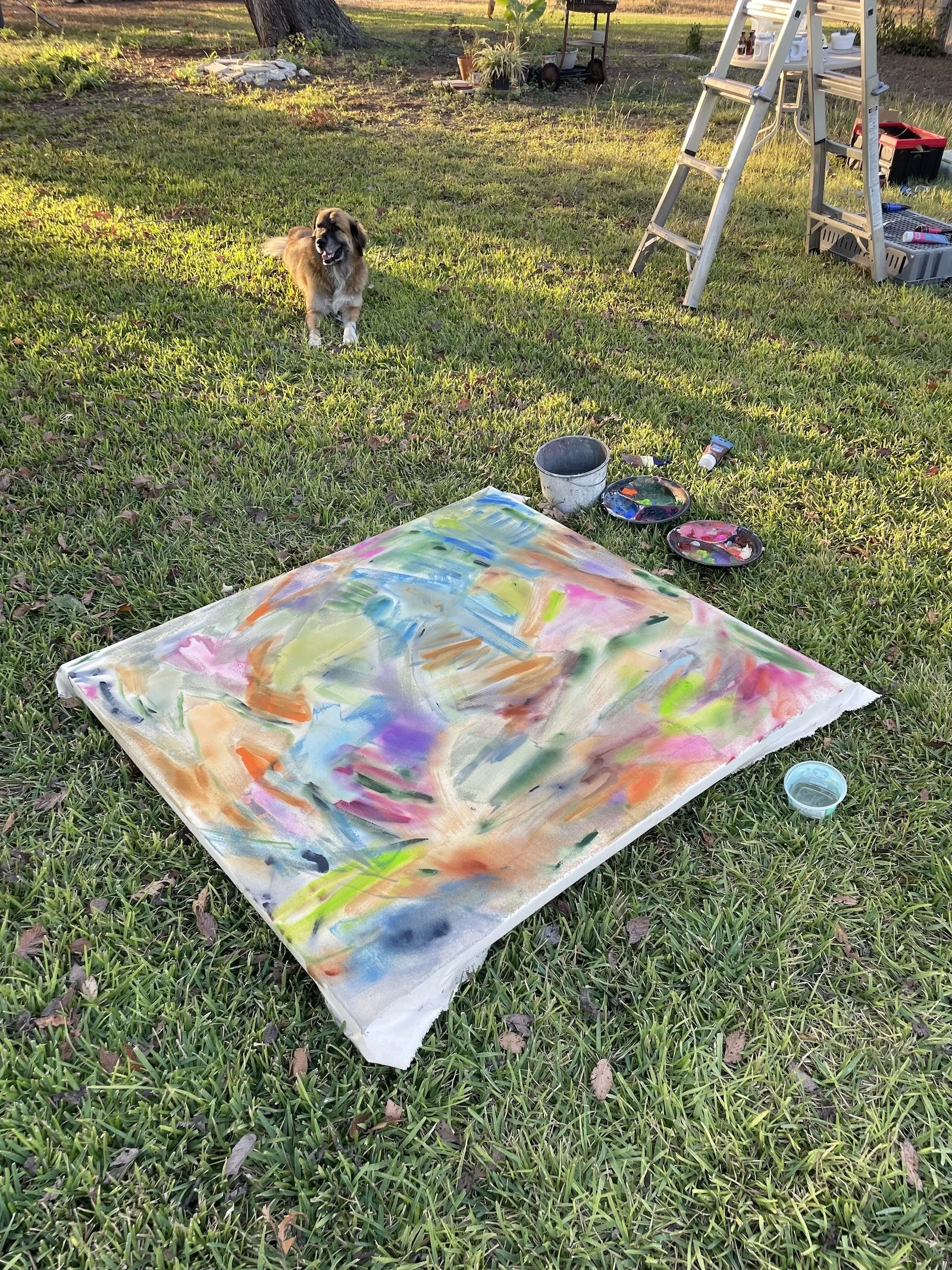 outdoor process pic with benji 2025.jpg