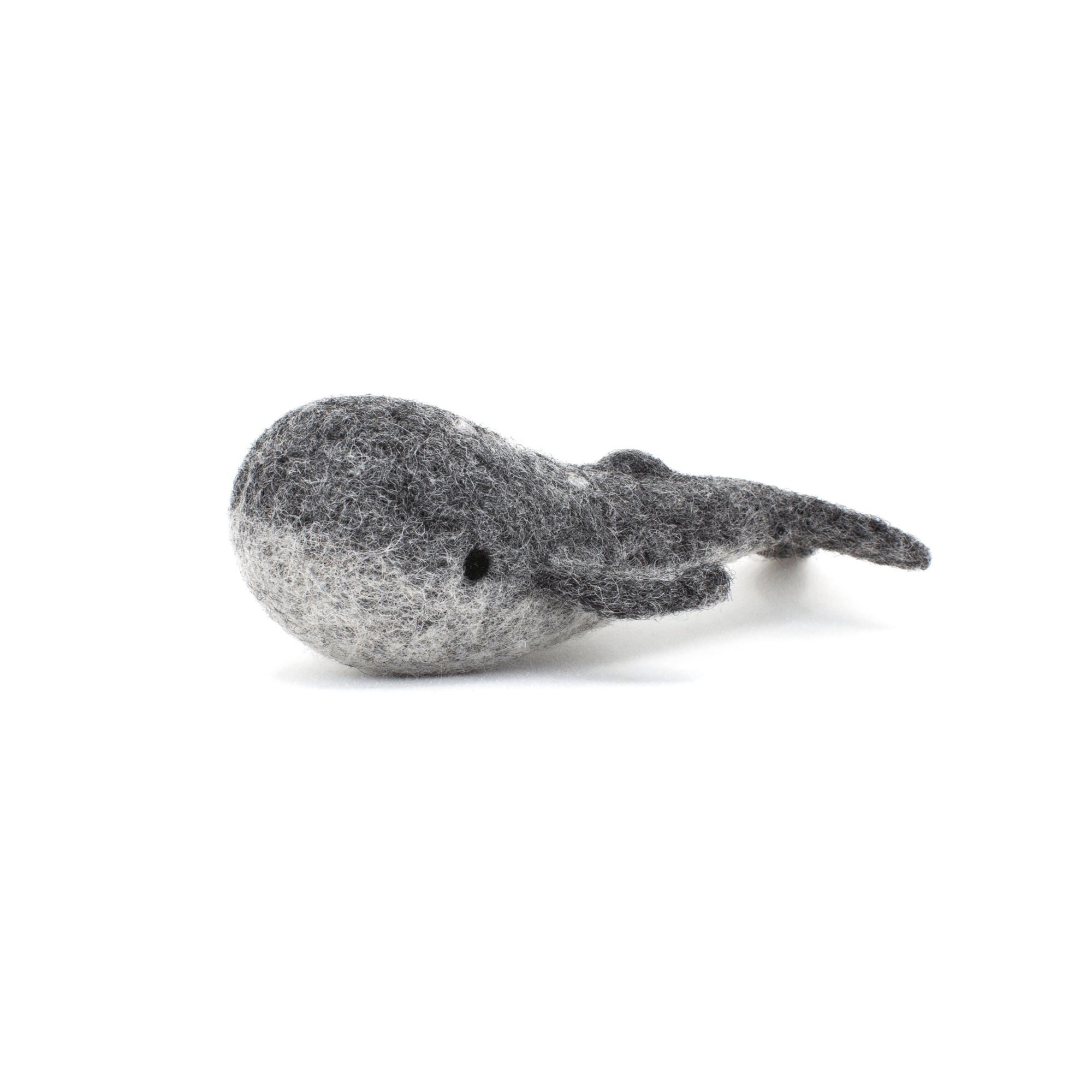GreyWhale_01.png