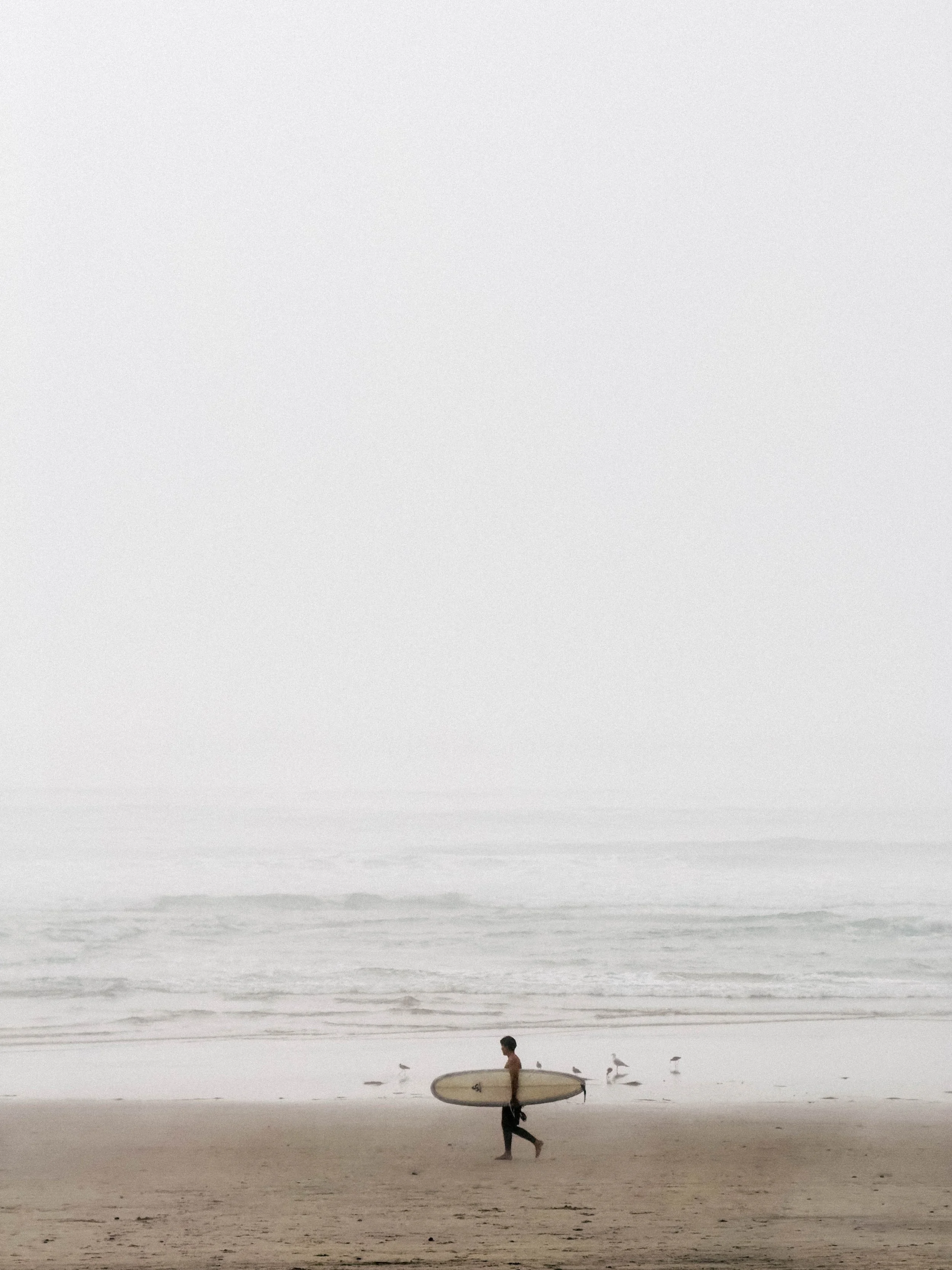 20250224152826-Surfer-2025-02-24 18.28.26.jpg