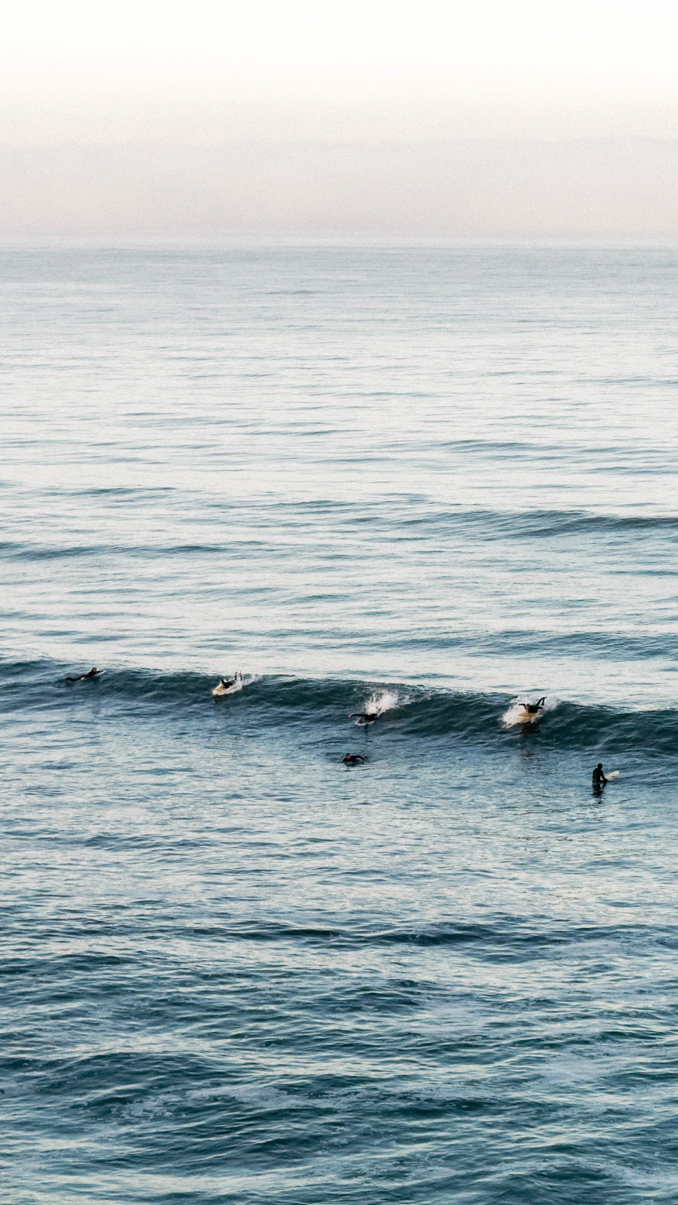 20250226064735-Wave Riders I-2025-02-26 09.47.35.jpg