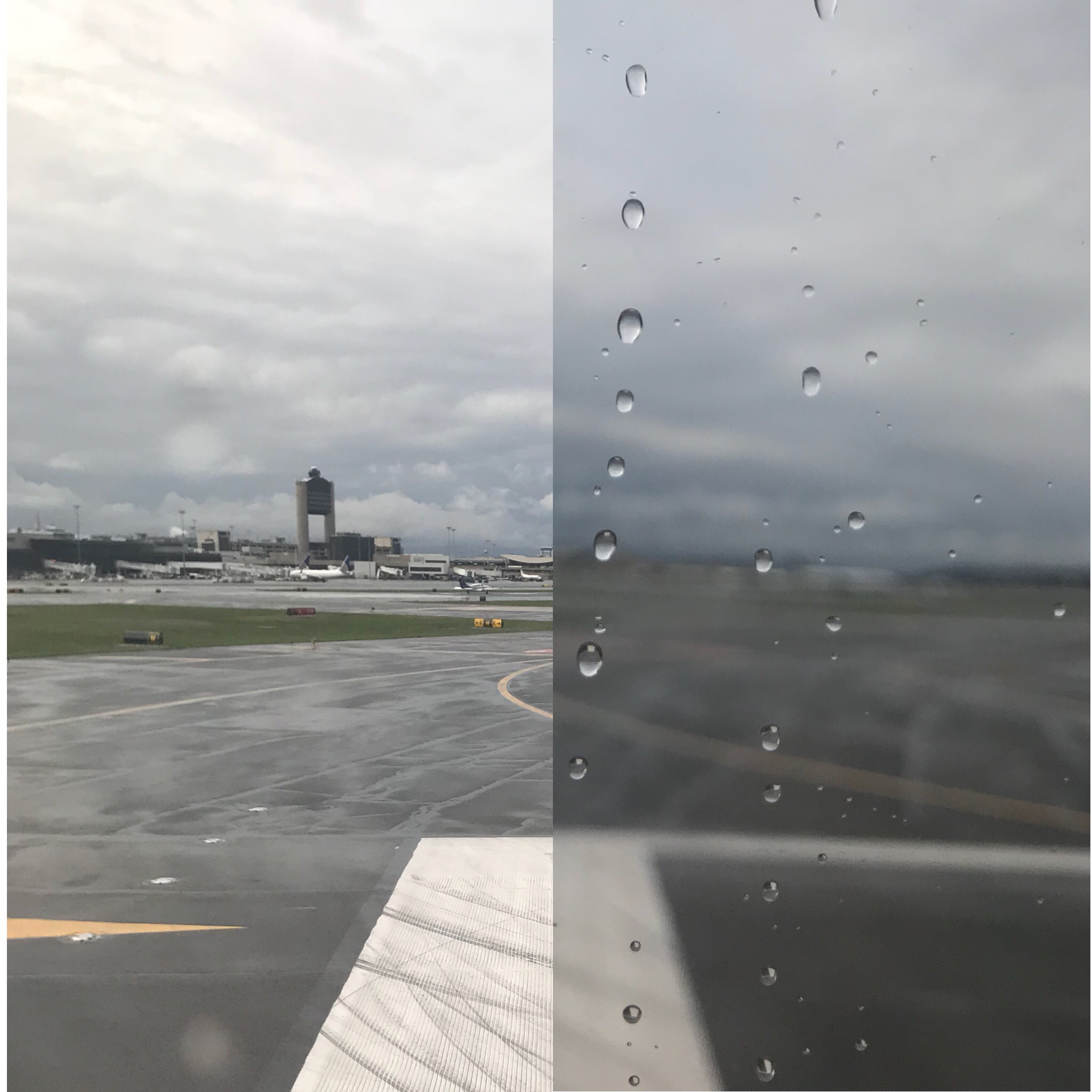 A Clear Vision for Internal Training