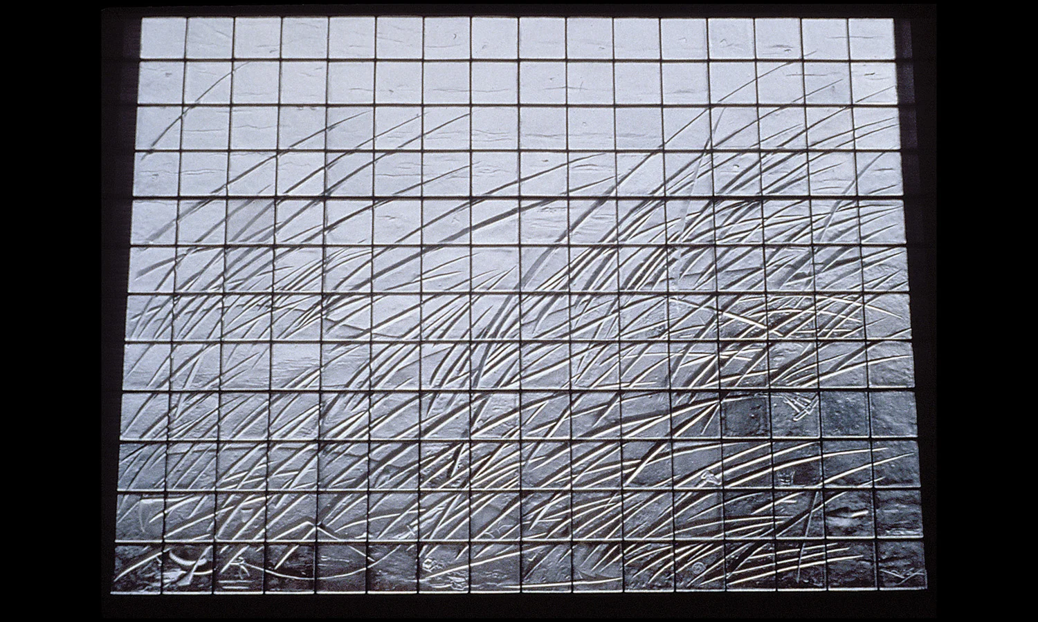 Grass in Wind 1990. Cast glass, stainless steel. 12 x 16 feet. Northern Essex County Courthouse, Newburyport, MA