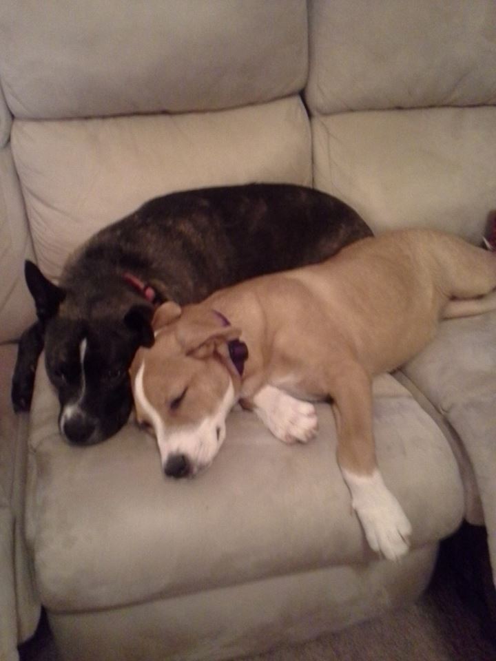They became best friends. 