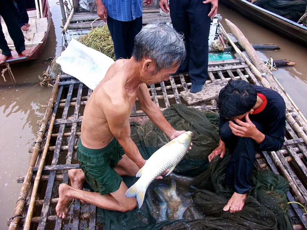 Fish Cage Web 2 005.jpg