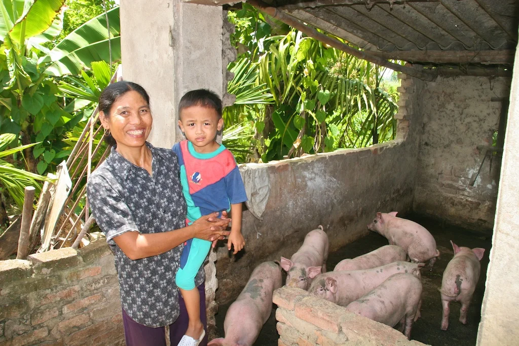 Pig Web 2 013.jpg