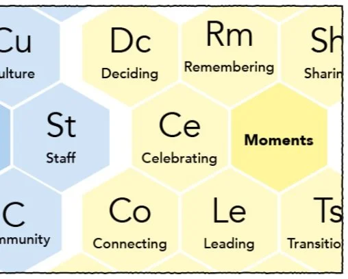 Introducing the Elements of School Experience