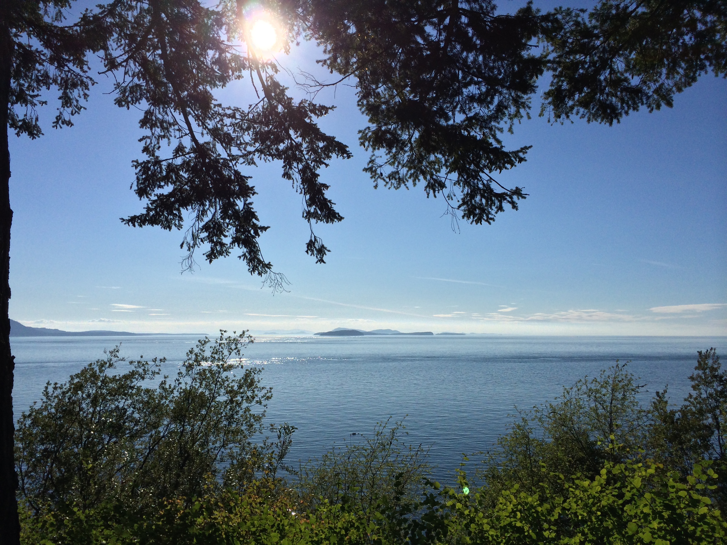 This is the view from the deck. 