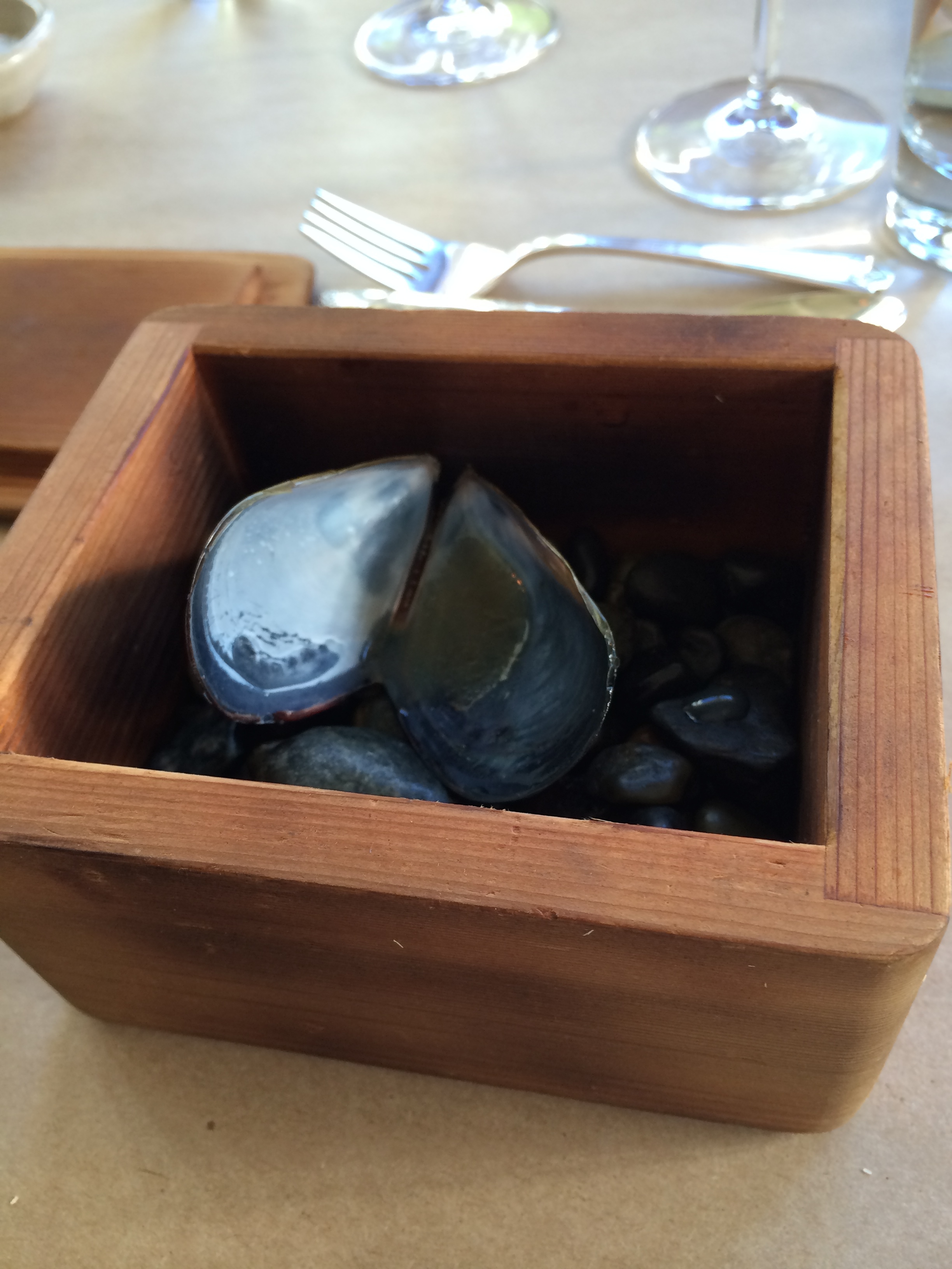 There was a mussel in there.