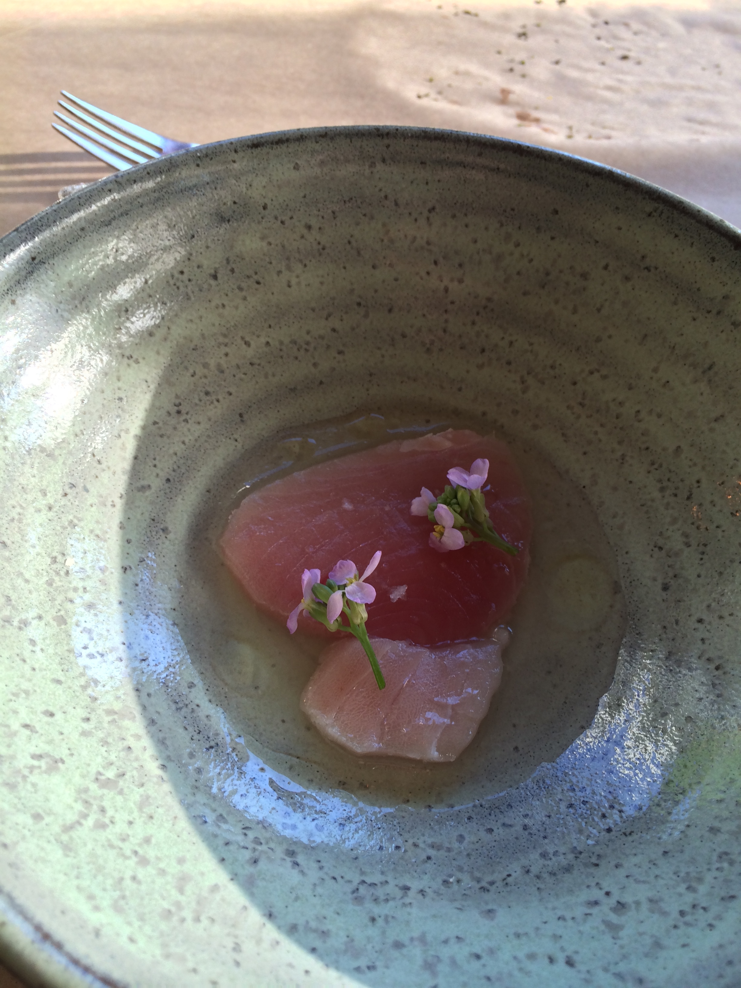 Albacore