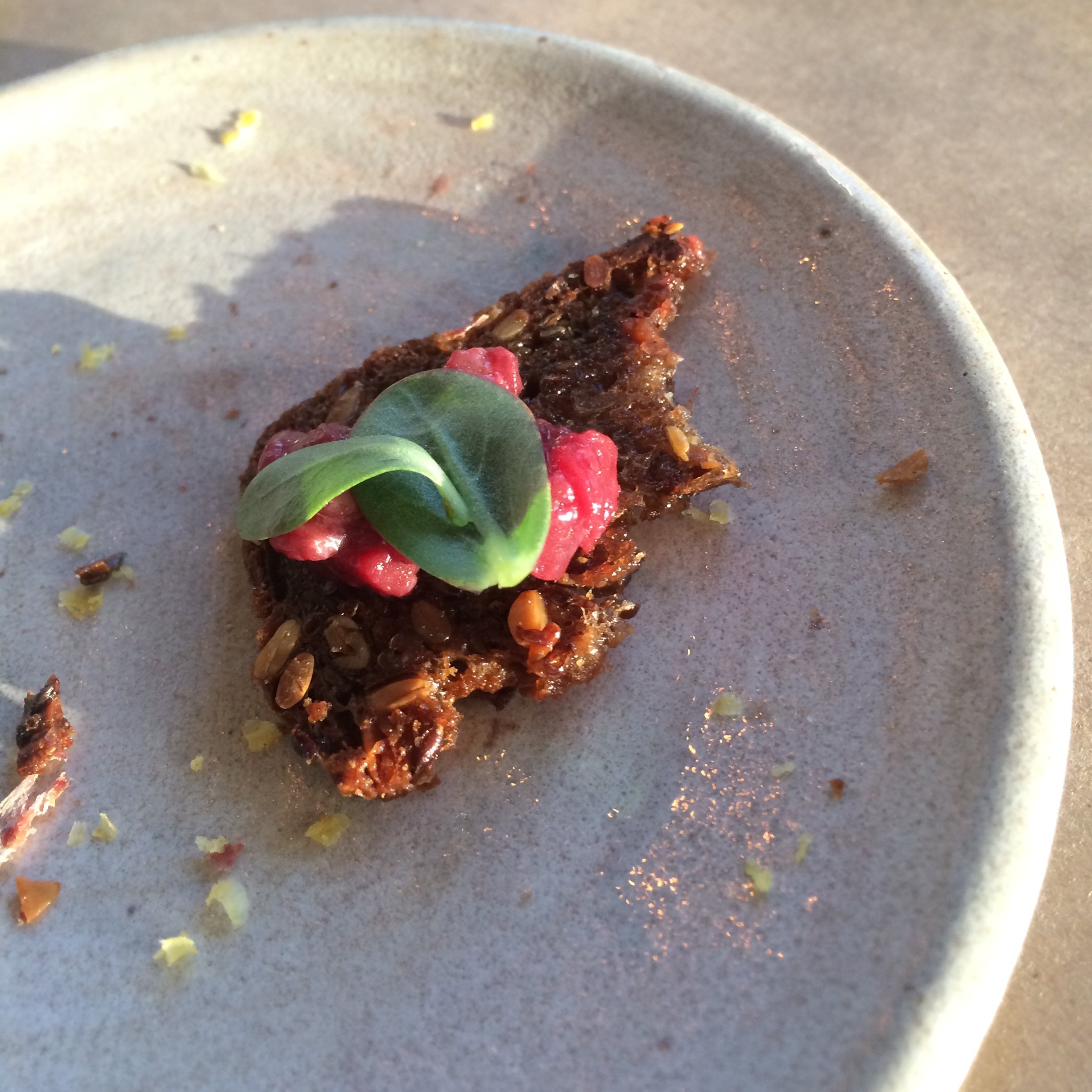The assembled venison taco thing.