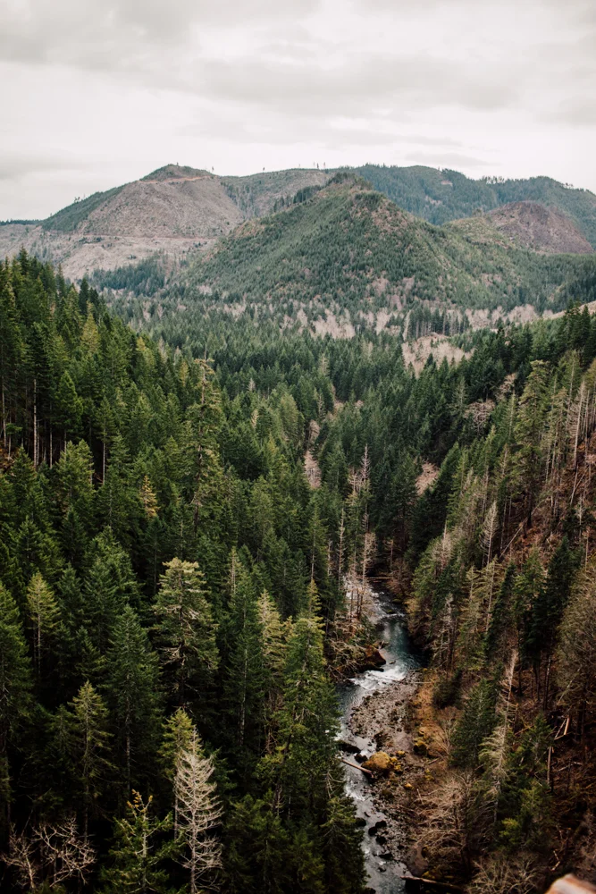 VanceCreek-resized-23.jpg