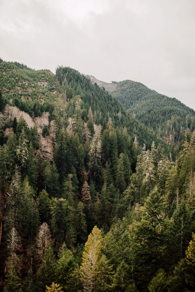 VanceCreek-resized-14.jpg