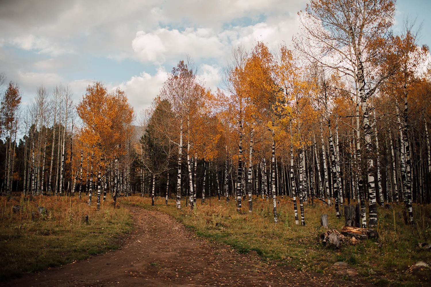 flagstaff-5.jpg