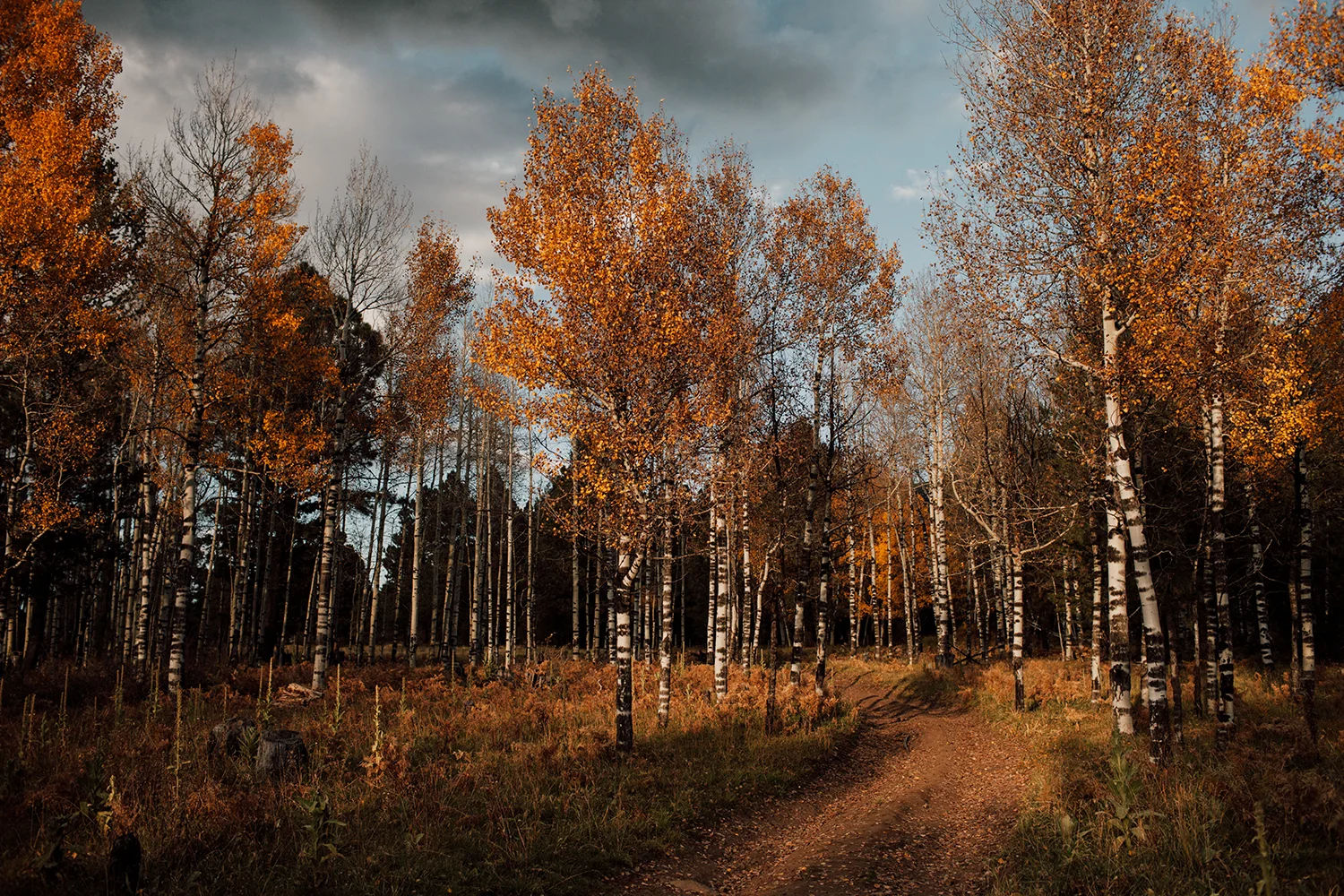flagstaff-4.jpg