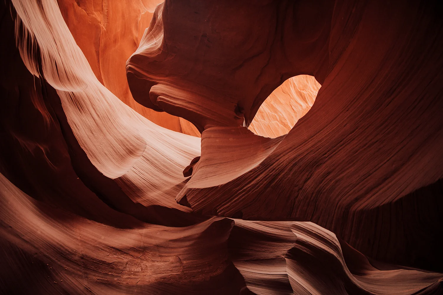 antelope-2.jpg