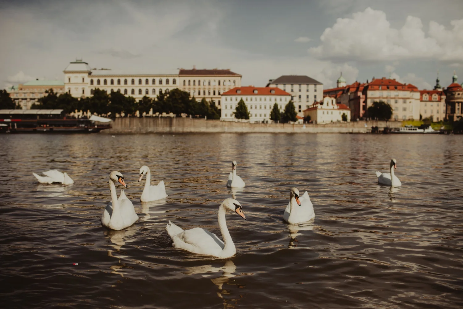 PaulSimonPhotography-TravelPortfolio_0044.jpg