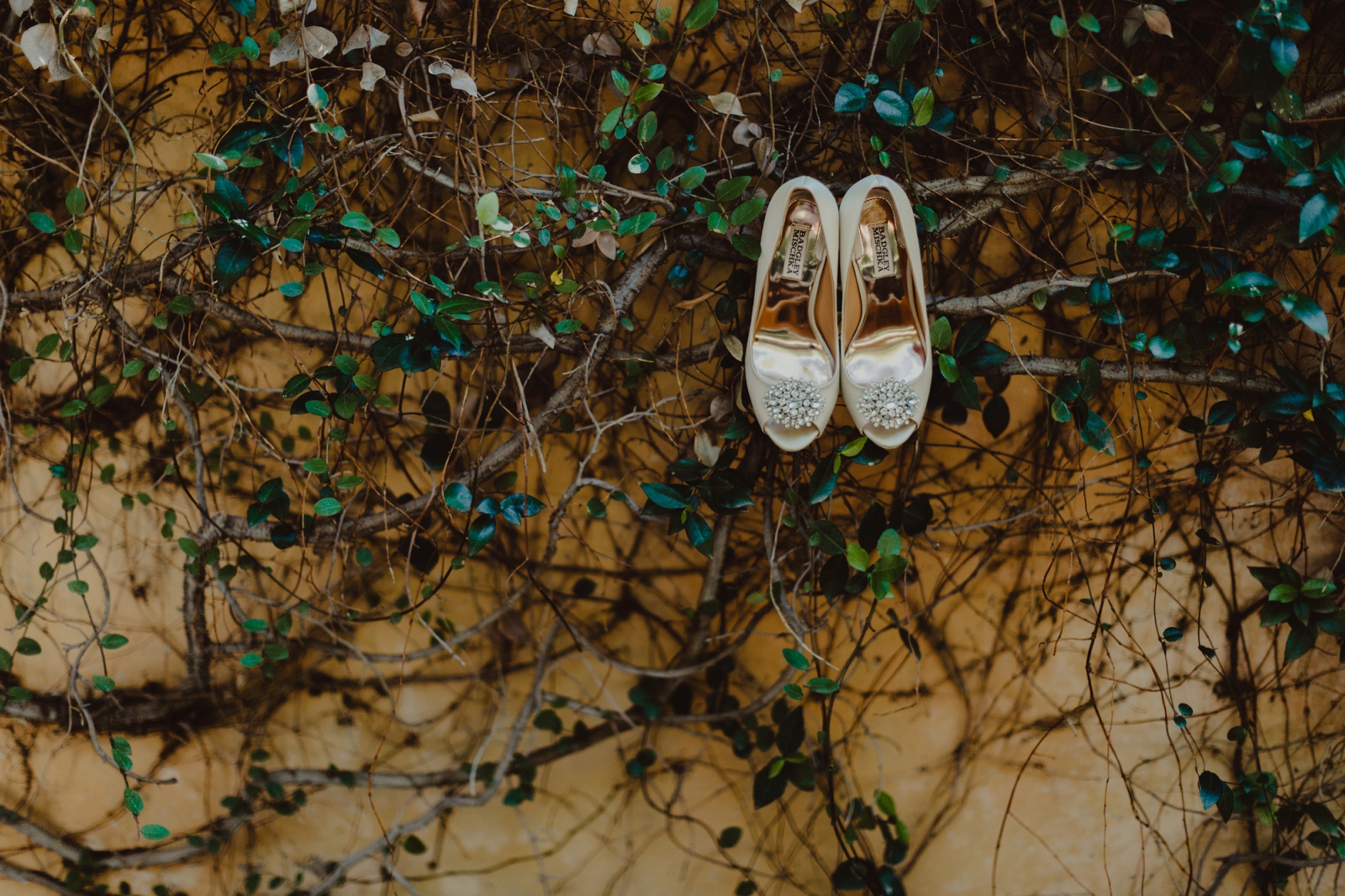 PaulSimonPhotography-Ashley+Robert-RoyalPalmsWedding_0004.jpg