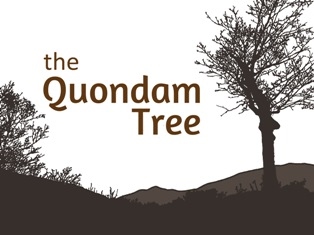 The Quondam Tree