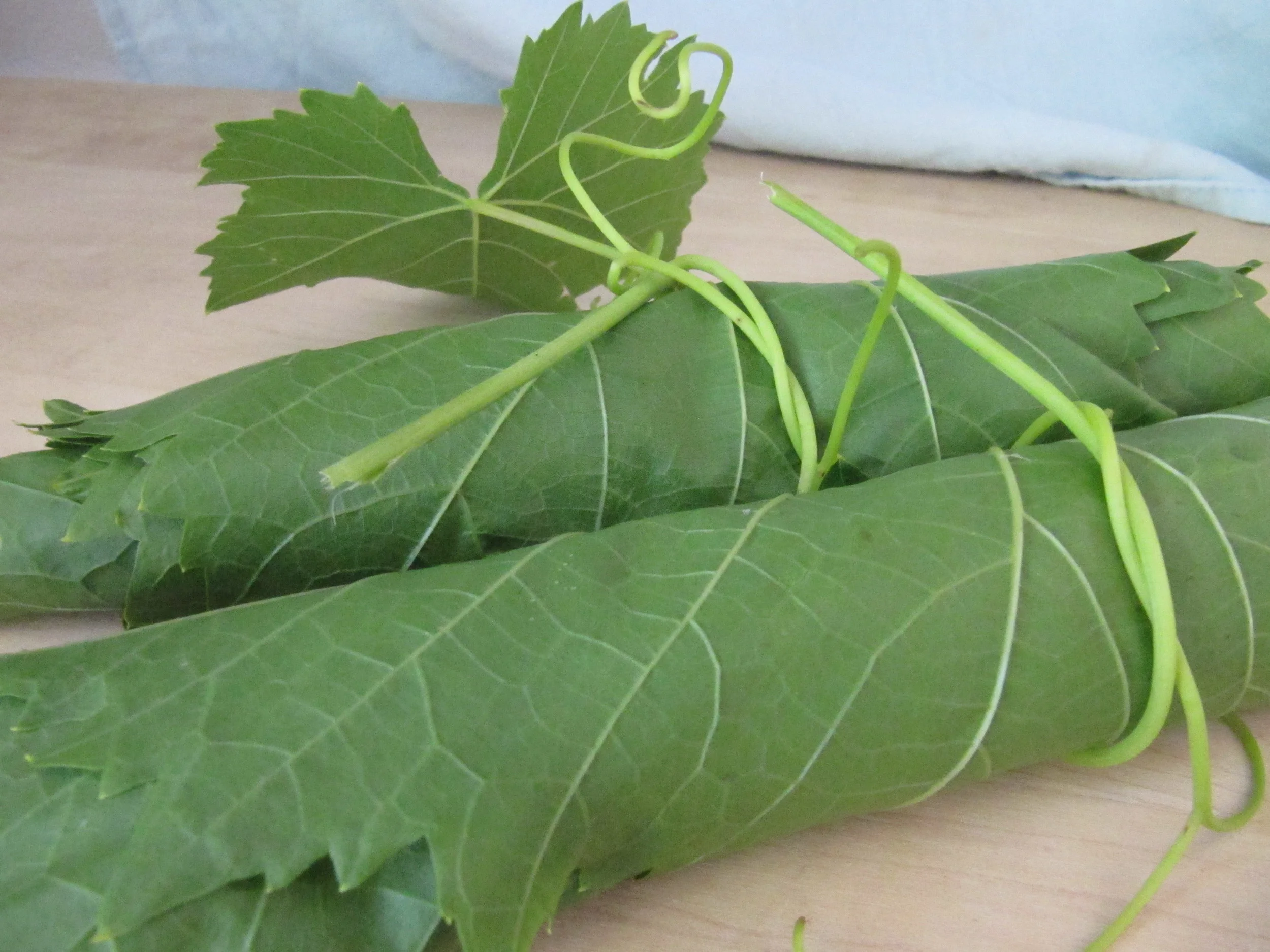 Lactofermented Pickled Grape Leaves — FermentWorks