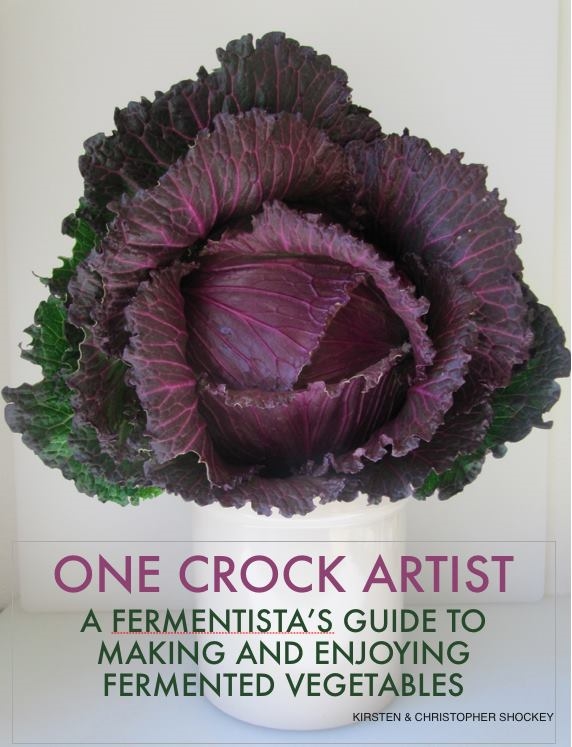Snapshot of a draft cover of Fermented Vegetables before it was the beautiful book we know and love.&nbsp;The husband and wife do find it apropos that this special price is happening on the anniversary of their short e-book publishing career