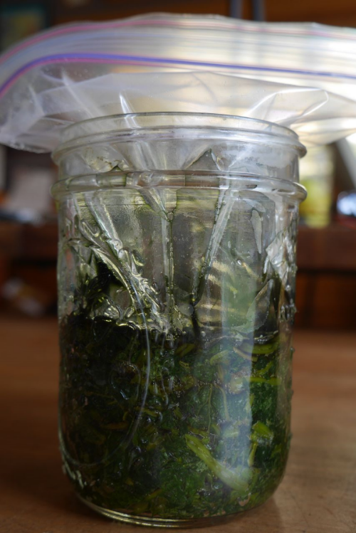 Fermenting Vegetables in a Mason Jar 2 Basic Techniques — FermentWorks