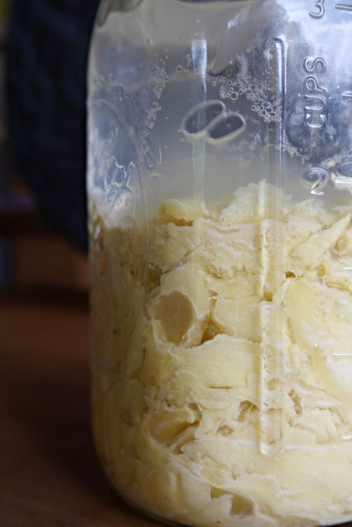 Fermenting Vegetables in a Mason Jar 2 Basic Techniques — FermentWorks