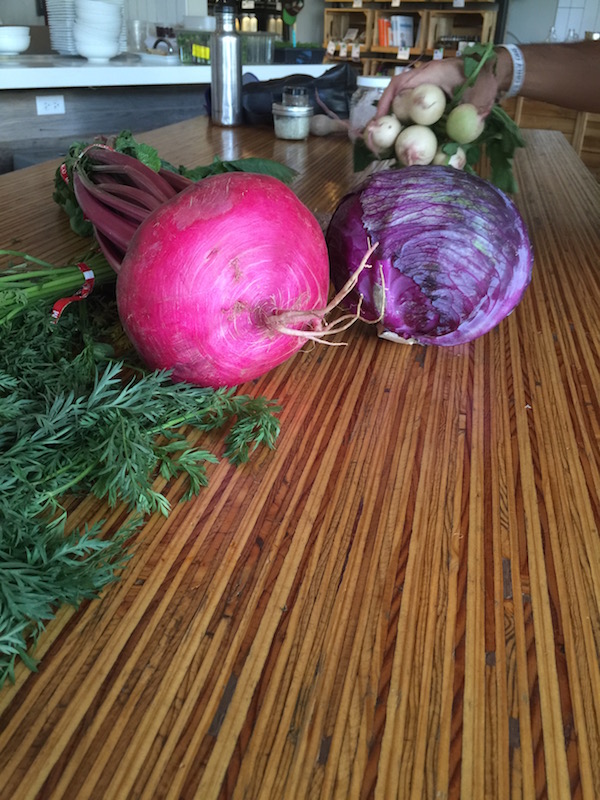 giant turnip zeal.jpg