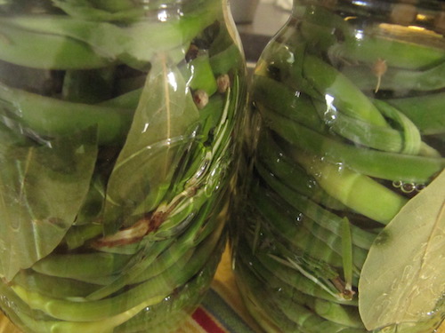 Fermented Garlic Scapes
