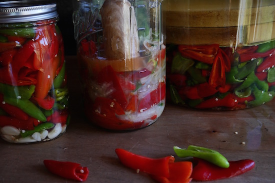 Lactofermented Pickled Peppers