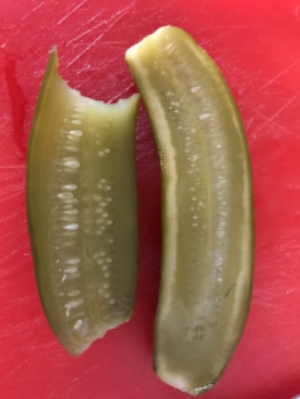 image1-2.jpg