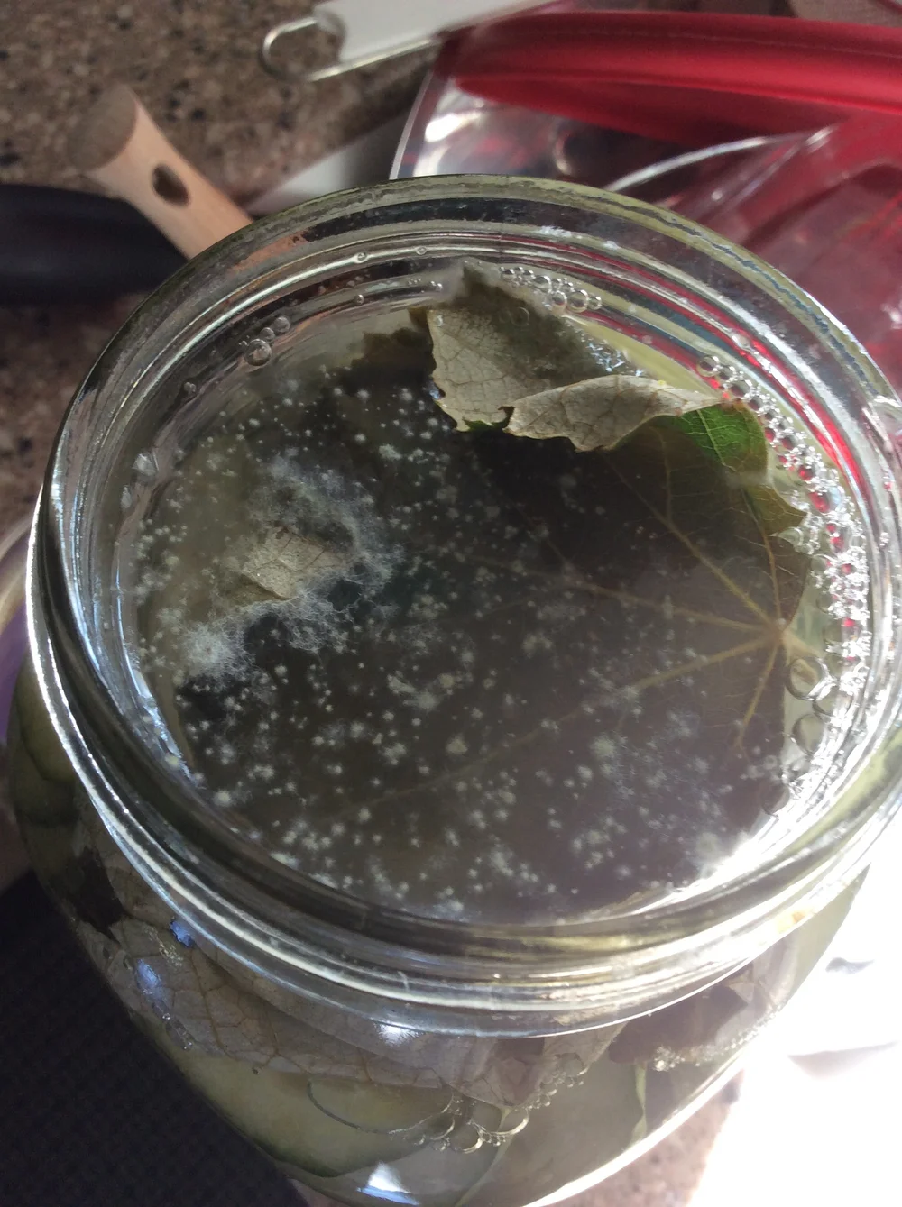 Is This Mold Or Yeast On Top Of My Pickles Fermentworks