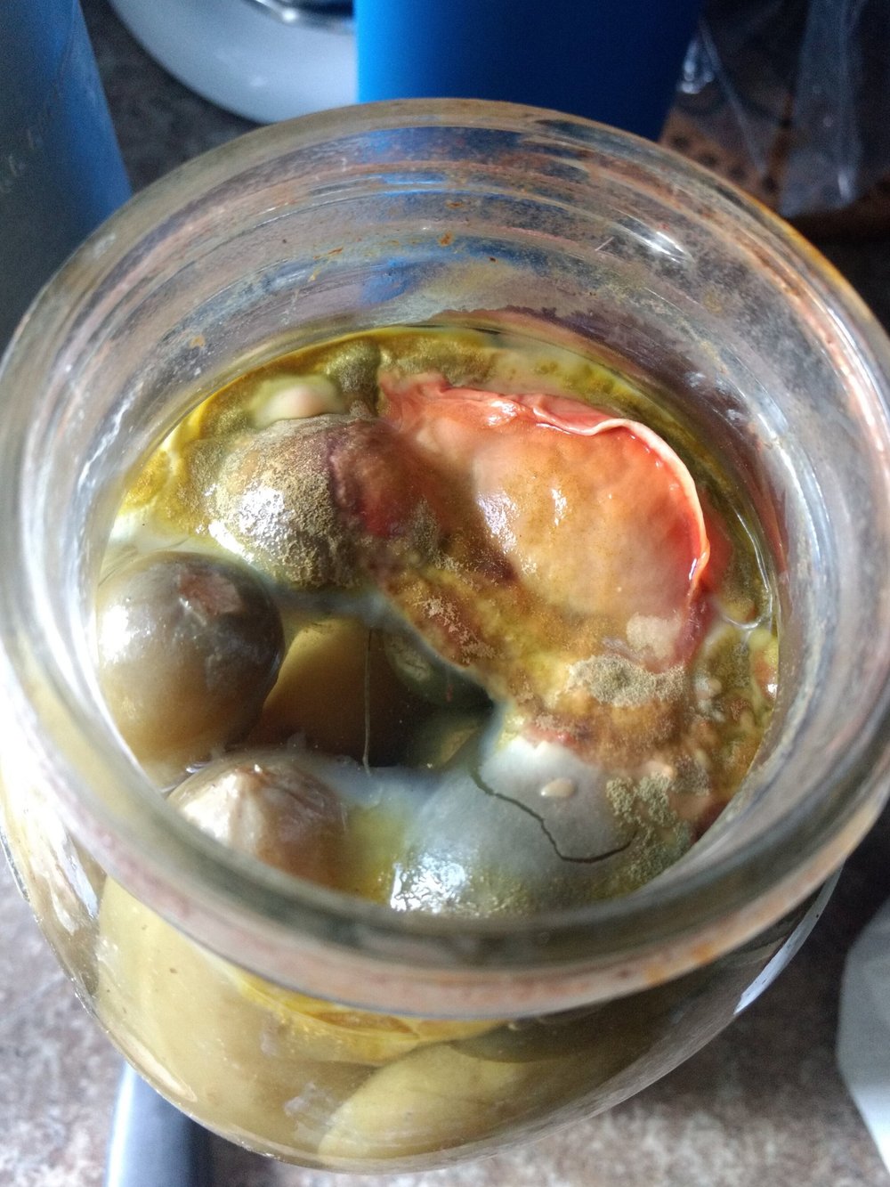 Help Troubleshooting Fermented Vegetables Fermentworks