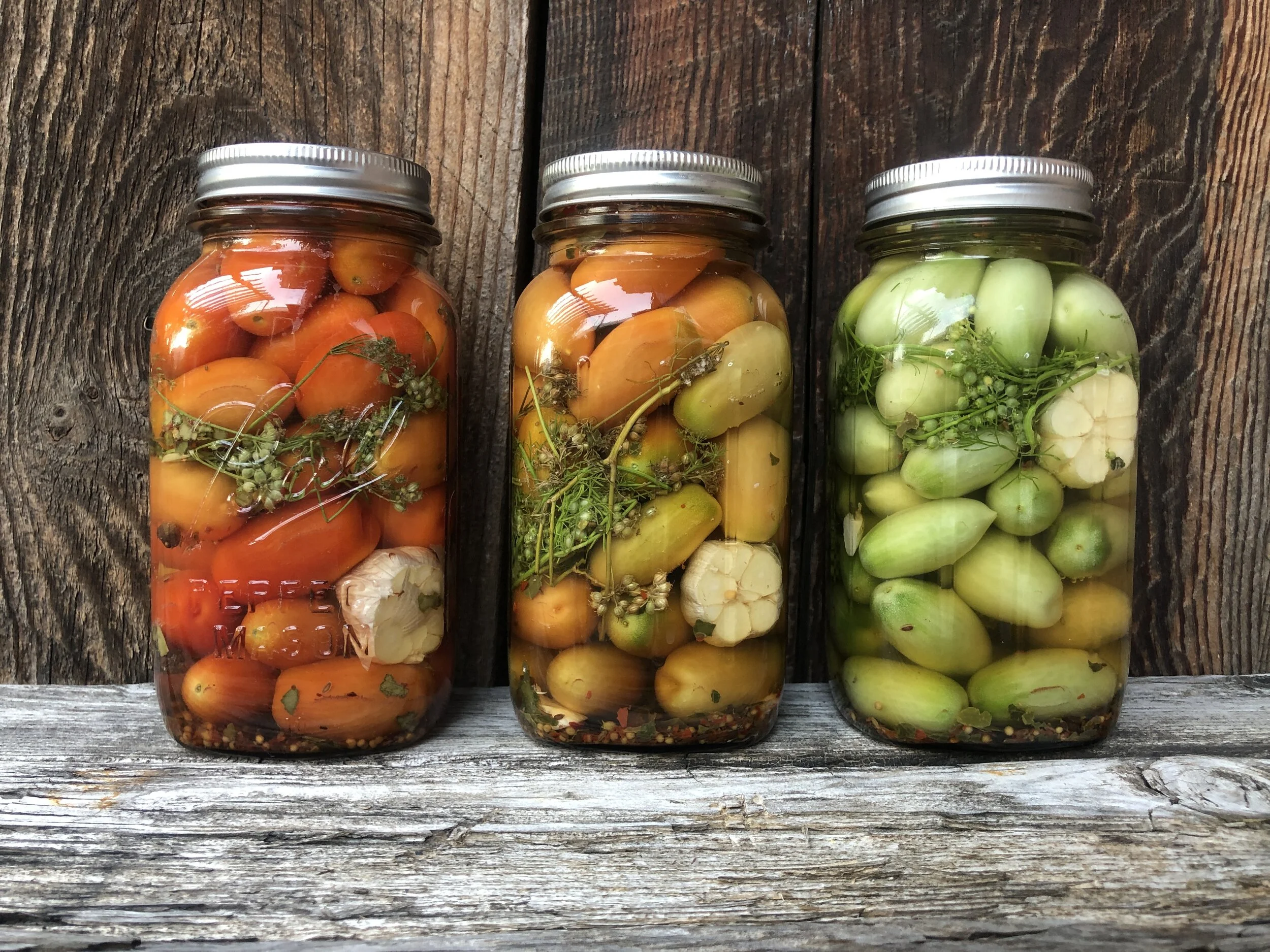 FermentationSchool KKShockey.jpg