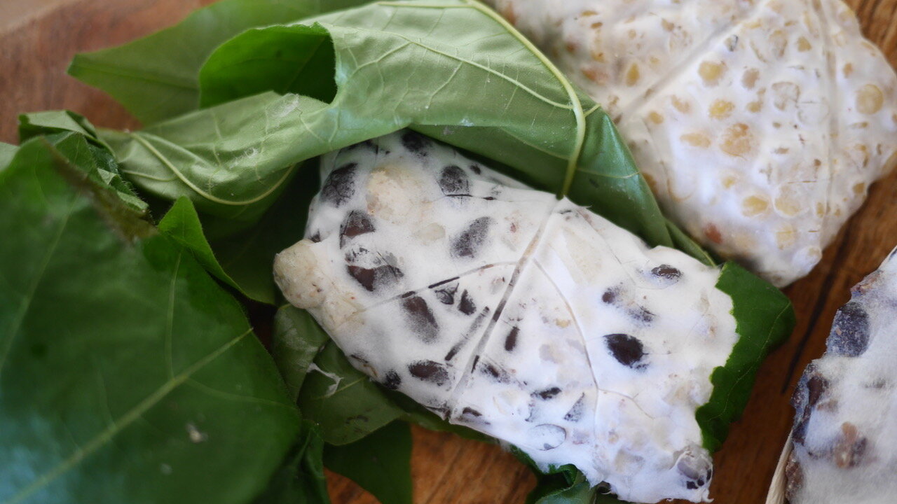 No plastic tempeh making. Learn to make homemade tempeh at Fermentation School.jpeg