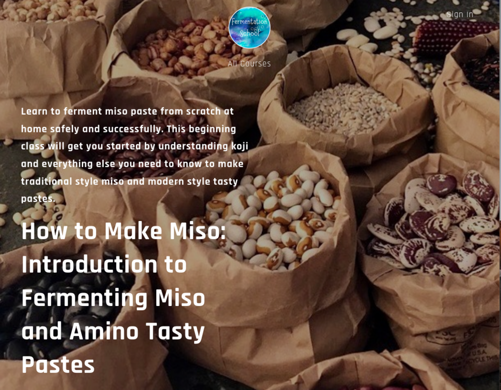 How to Make Miso: Introduction to Fermenting Miso