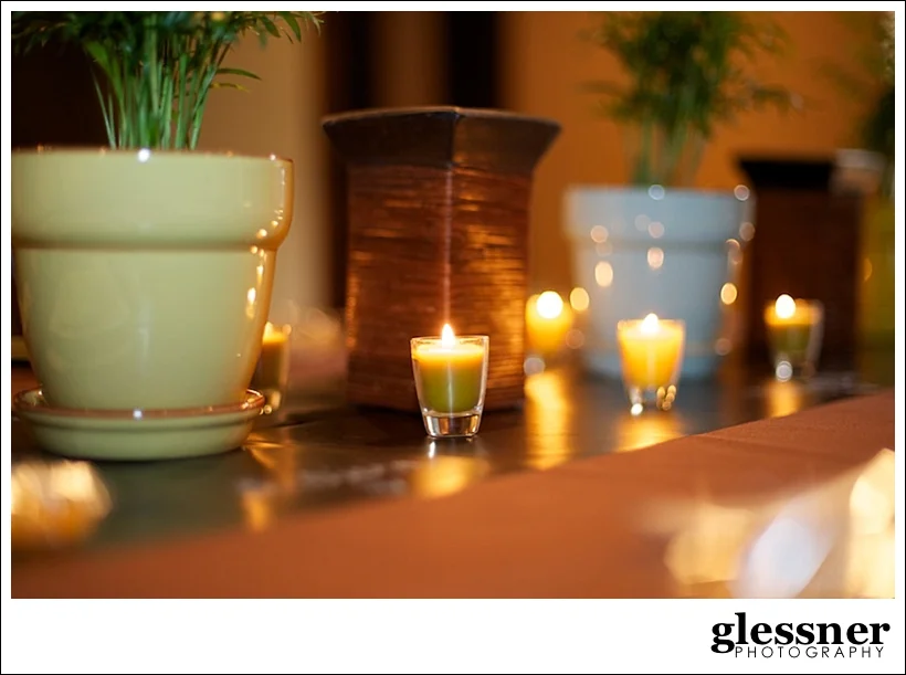 jungle inspired baby shower at The Loft at Union Square in High Point, NC by Glessner Photography